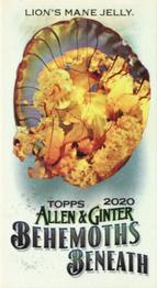 2020 Topps Allen & Ginter - Mini Behemoths Beneath #MGB-7 Lion's Mane Jelly Front