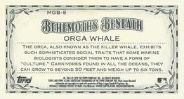 2020 Topps Allen & Ginter - Mini Behemoths Beneath #MGB-8 Orca Whale Back