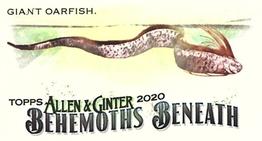 2020 Topps Allen & Ginter - Mini Behemoths Beneath #MGB-10 Giant Oarfish Front