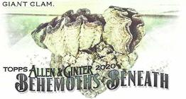 2020 Topps Allen & Ginter - Mini Behemoths Beneath #MGB-17 Giant Clam Front