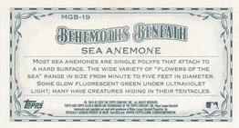 2020 Topps Allen & Ginter - Mini Behemoths Beneath #MGB-19 Sea Anemone Back