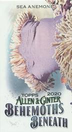 2020 Topps Allen & Ginter - Mini Behemoths Beneath #MGB-19 Sea Anemone Front