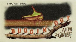 2020 Topps Allen & Ginter - Mini Buggin Out #MBO-5 Thorn Bug Front