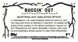 2020 Topps Allen & Ginter - Mini Buggin Out #MBO-6 Australian Walking Stick Back