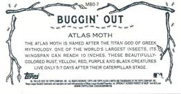 2020 Topps Allen & Ginter - Mini Buggin Out #MBO-7 Atlas Moth Back