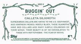 2020 Topps Allen & Ginter - Mini Buggin Out #MBO-8 Calleta Silkmoth Back