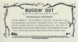 2020 Topps Allen & Ginter - Mini Buggin Out #MBO-10 Peacock Spider Back