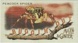 2020 Topps Allen & Ginter - Mini Buggin Out #MBO-10 Peacock Spider Front