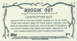 2020 Topps Allen & Ginter - Mini Buggin Out #MBO-12 Leafcutter Ant Back