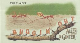 2020 Topps Allen & Ginter - Mini Buggin Out #MBO-16 Fire Ant Front