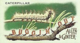 2020 Topps Allen & Ginter - Mini Buggin Out #MBO-18 Caterpillar Front