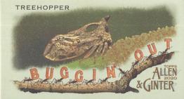 2020 Topps Allen & Ginter - Mini Buggin Out #MBO-20 Treehopper Front