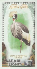 2020 Topps Allen & Ginter - Mini Safari Sights #SS-5 Gray Crowned Crane Front