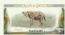 2020 Topps Allen & Ginter - Mini Safari Sights #SS-6 Hyena Front