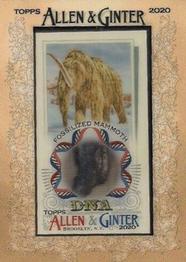 2020 Topps Allen & Ginter - Mini DNA Relics #MDNAR-FM Fossilized Mammoth Front