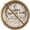 1896-98 Whitehead & Hoag/Cameo Pepsin Gum Pins (PE4) #NNO Ed Lewee Back