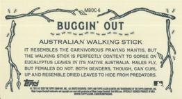2020 Topps Allen & Ginter Chrome - Buggin' Out! Mini #MBOC-6 Australian Walking Stick Back