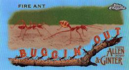 2020 Topps Allen & Ginter Chrome - Buggin' Out! Mini #MBOC-16 Fire Ant Front