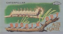 2020 Topps Allen & Ginter Chrome - Buggin' Out! Mini #MBOC-18 Caterpillar Front