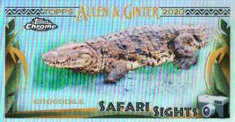 2020 Topps Allen & Ginter Chrome - Safari Sights Mini #SSC-3 Crocodile Front