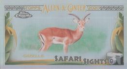 2020 Topps Allen & Ginter Chrome - Safari Sights Mini #SSC-4 Gazelle Front