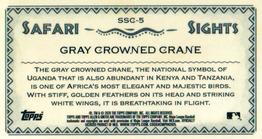 2020 Topps Allen & Ginter Chrome - Safari Sights Mini #SSC-5 Gray Crowned Crane Back