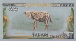 2020 Topps Allen & Ginter Chrome - Safari Sights Mini #SSC-6 Hyena Front