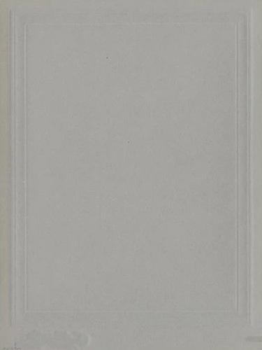 1905-09 Carl Horner Cabinets #NNO William Heitmuller Back