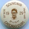 1929 Certified Ice Cream Chicago Cubs Pins #NNO Guy Bush Front