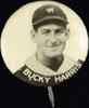 1928 Baseball Player Pins (PM6) #NNO Bucky Harris Front