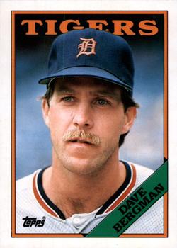 1988 Topps - Collector's Edition (Tiffany) #289 Dave Bergman Front