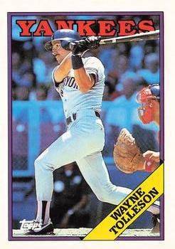 1988 Topps - Collector's Edition (Tiffany) #411 Wayne Tolleson Front