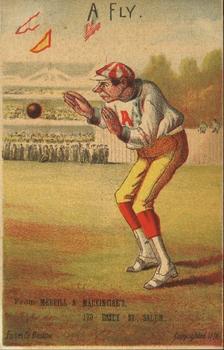 1878 Forbes Co. Baseball Comics (H804-6) #NNO A Fly Front