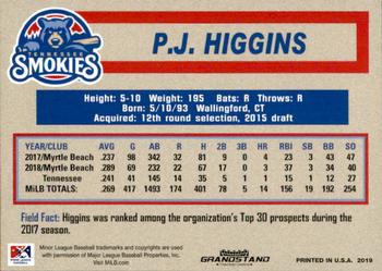 2019 Grandstand Tennessee Smokies #NNO P.J. Higgins Back