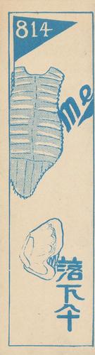 1929 Nichieido Seika Menko (JCM 46) #814 Shigeru Mizuhara Back