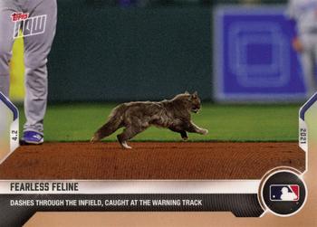 2021 Topps Now #15 Fearless Feline Front