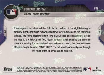 2021 Topps Now #608 Courageous Cat Back