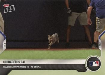 2021 Topps Now #608 Courageous Cat Front