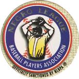 1993 Ted Williams - Pogs #NNO Negro Leagues Baseball Players Association Front