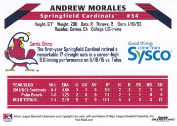 2015 Grandstand Springfield Cardinals SGA #NNO Andrew Morales Back