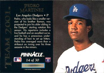 1993 Pinnacle - Team 2001 #14 Pedro Martinez Back