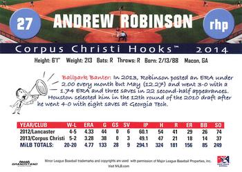 2014 Grandstand Corpus Christi Hooks #NNO Andrew Robinson Back