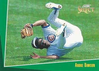 1993 Select #9 Andre Dawson Front
