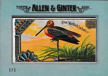 2021 Topps Allen & Ginter - Framed A&G Originals #NNO Great Marbled Godwit Front