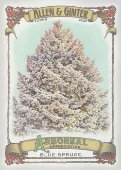 2021 Topps Allen & Ginter - Arboreal Appreciation #AA-1 Blue Spruce Front