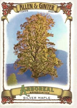 2021 Topps Allen & Ginter - Arboreal Appreciation #AA-3 Silver Maple Front