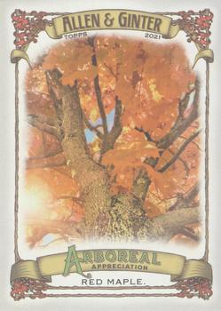 2021 Topps Allen & Ginter - Arboreal Appreciation #AA-5 Red Maple Front