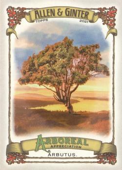 2021 Topps Allen & Ginter - Arboreal Appreciation #AA-9 Arbutus Front