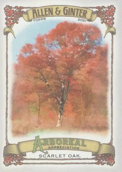 2021 Topps Allen & Ginter - Arboreal Appreciation #AA-10 Scarlet Oak Front