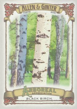 2021 Topps Allen & Ginter - Arboreal Appreciation #AA-11 Black Birch Front
